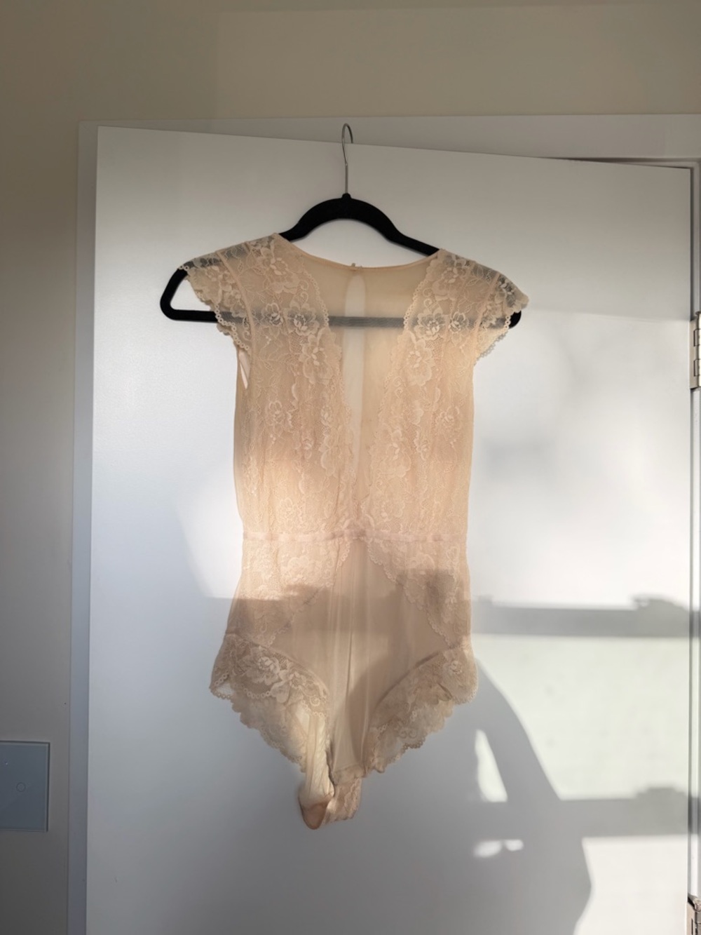Lace Trim Sheer Bodysuit in Nude